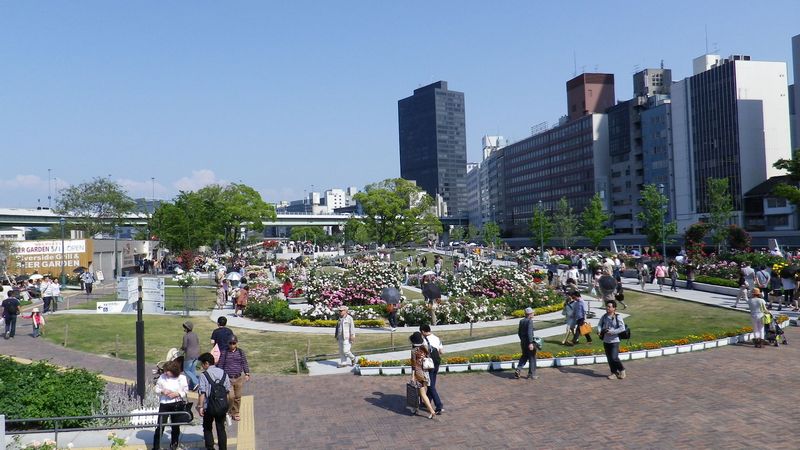 中之島公園 バラ園にぎわってました 大阪周辺 くつろぎ 遊び場ガイド