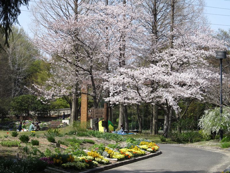 服部緑地 都市緑化植物園 大阪周辺 くつろぎ 遊び場ガイド